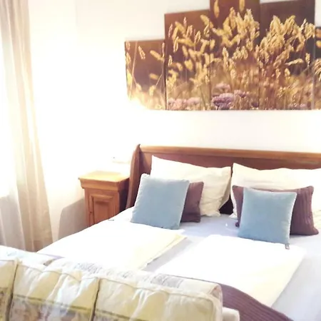 Bed and Breakfast Platzhirsch zur alten Wagnerei Saint Wolfgang Exterior foto