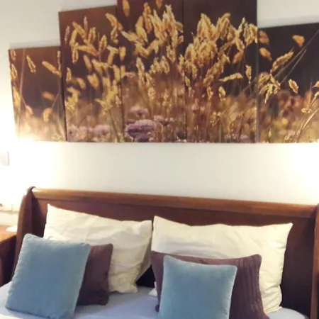 Bed and Breakfast Platzhirsch zur alten Wagnerei Saint Wolfgang Exterior foto