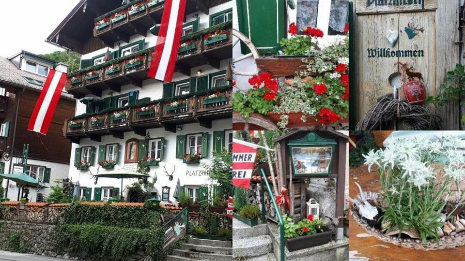 Platzhirsch Zur Alten Wagnerei Frühstückspension